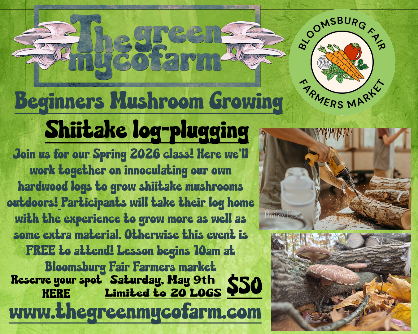 Spring 2026 Shiitake Growing Lesson