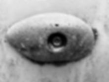 IMG_1173.jpeg