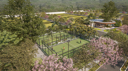 Cancha de pádel