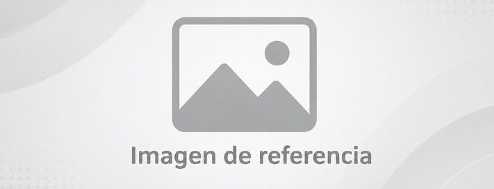Imagen de referencia.png