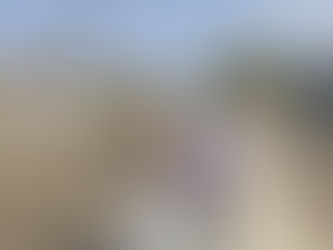 Story written about friendship receives award