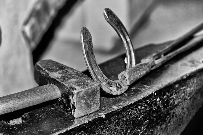 horseshoe-1516270_640.jpeg