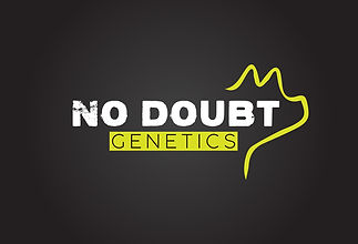No Doubt.jpg