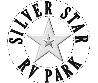 Silver Star Logo