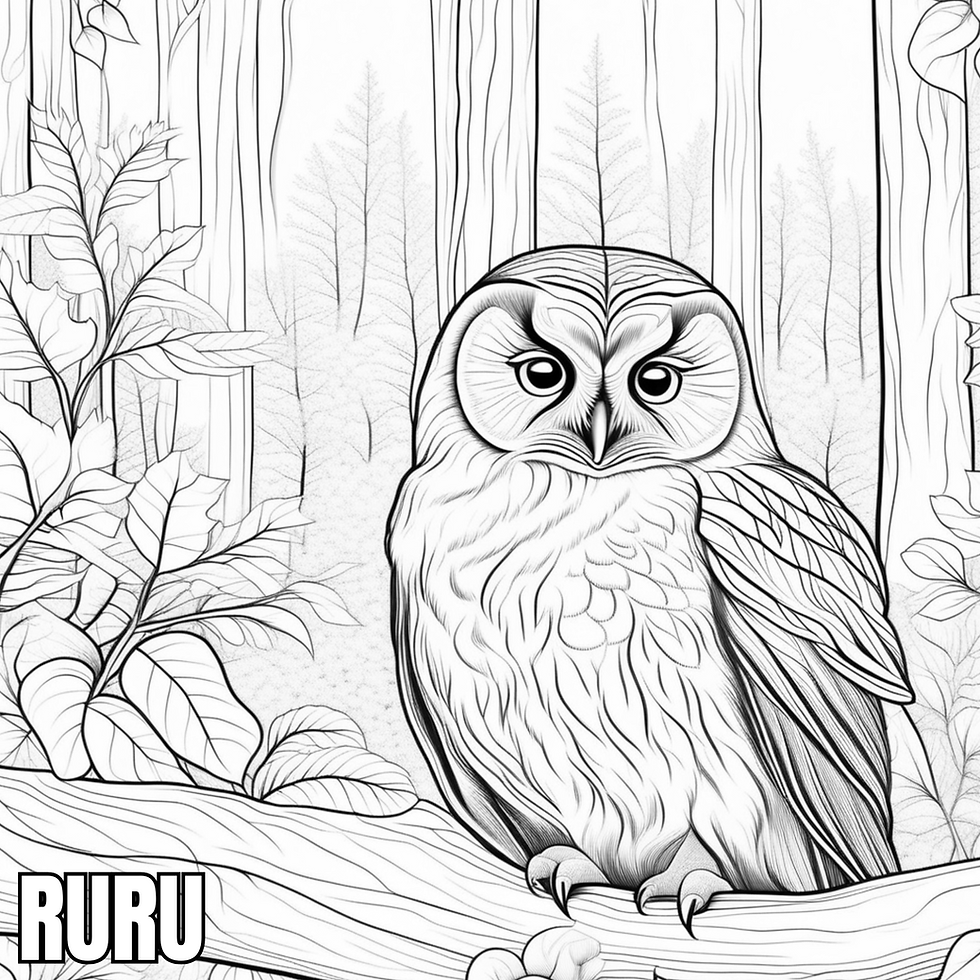 Thumbnail: 4 page Digital Download Children's Colouring Book images - Kaitoa the Kiwi