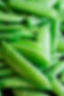 Snap Pea