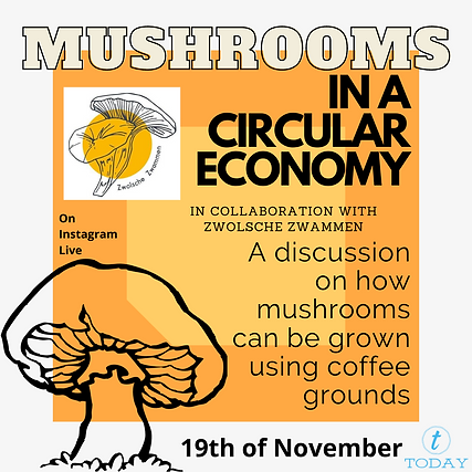 MUSHROOM EVENT (1).png