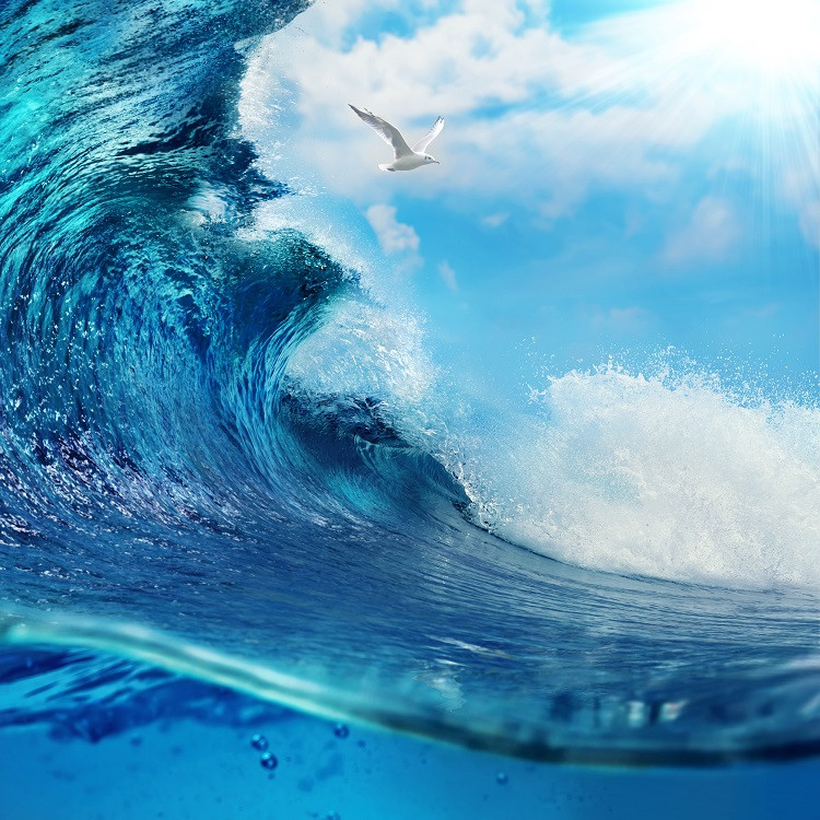 SANCTUARY BY THE SEA - CD