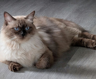 PXL_20250921_210149260 (2).jpg