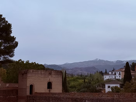 Medicinos koralo augimas