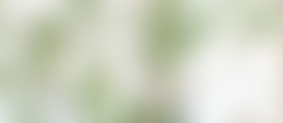 The Beauty of Houseplants: Why Every Home Needs a Touch of Green