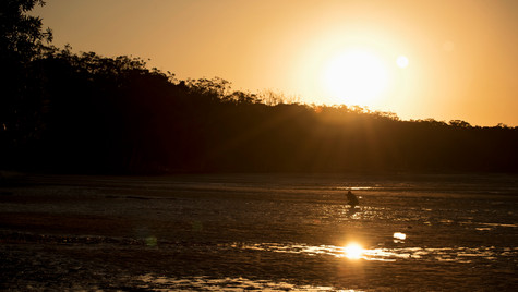 Chasing The Light