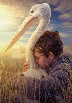 storm boy textless image_preview.jpeg