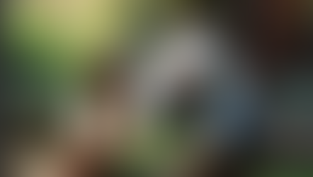 Beyond Borders: Nurturing Rooted, Global Futures