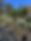 IMG_1073.jpeg