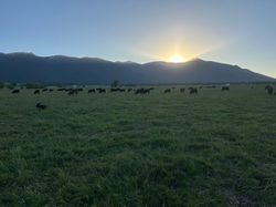 Evening heat detection views