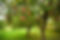 image.jfif