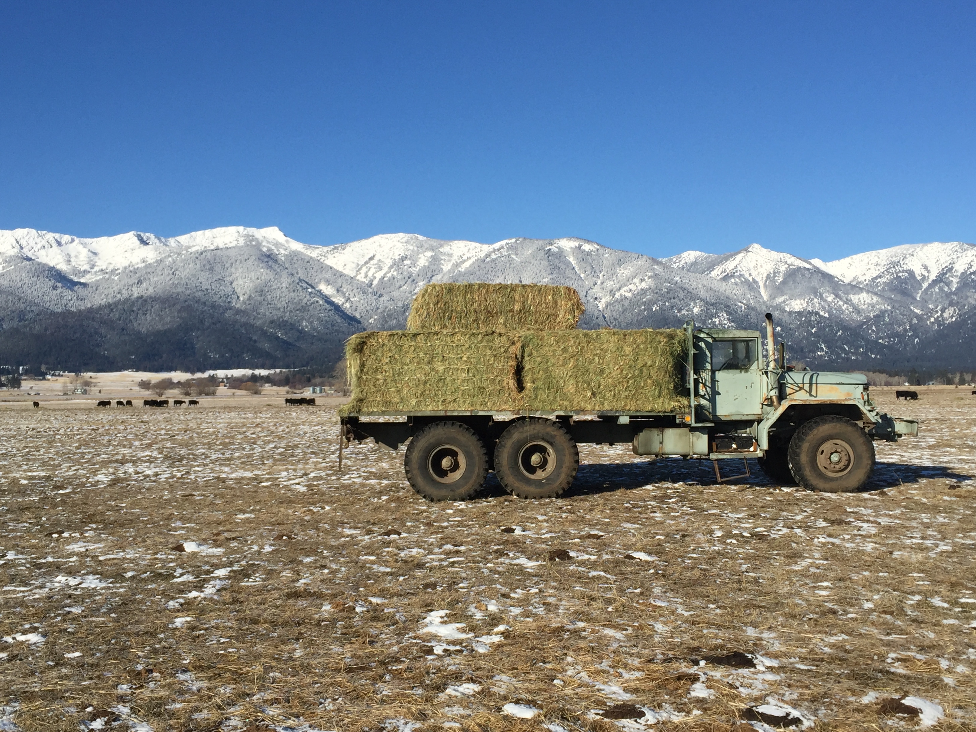 Feed truck