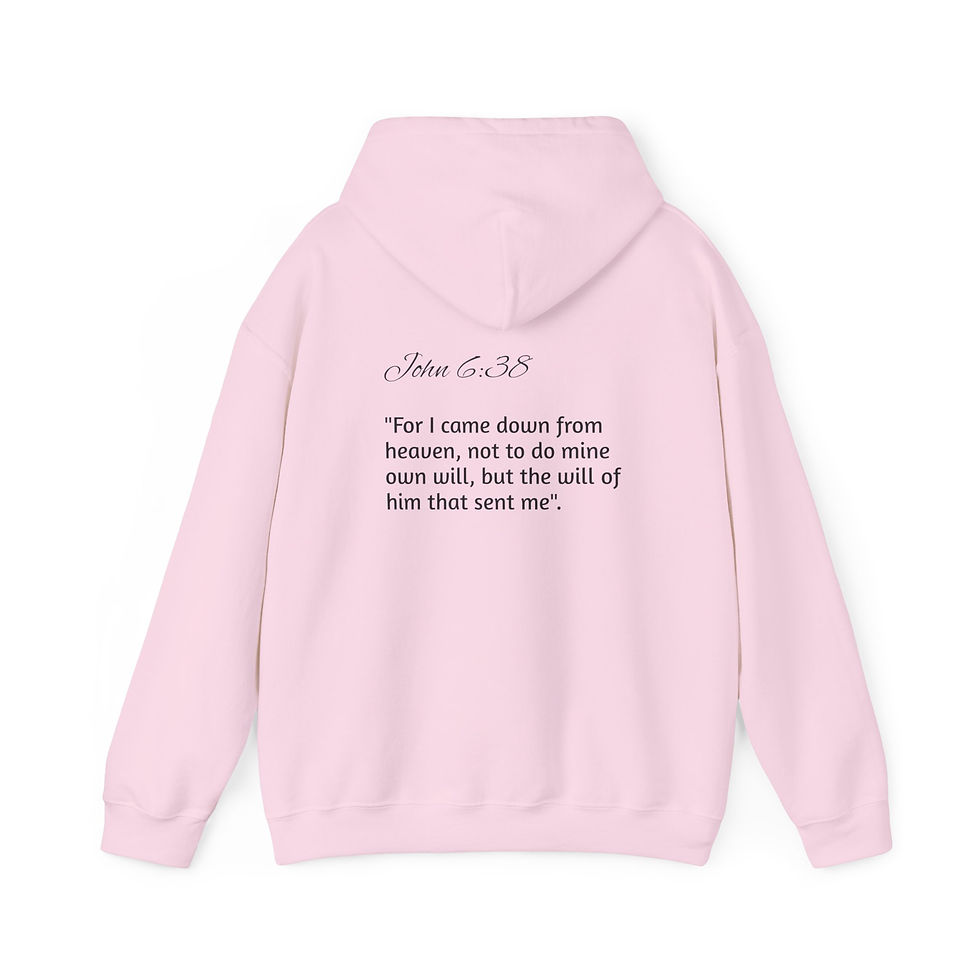 Thumbnail: Sent From Above Hoodie