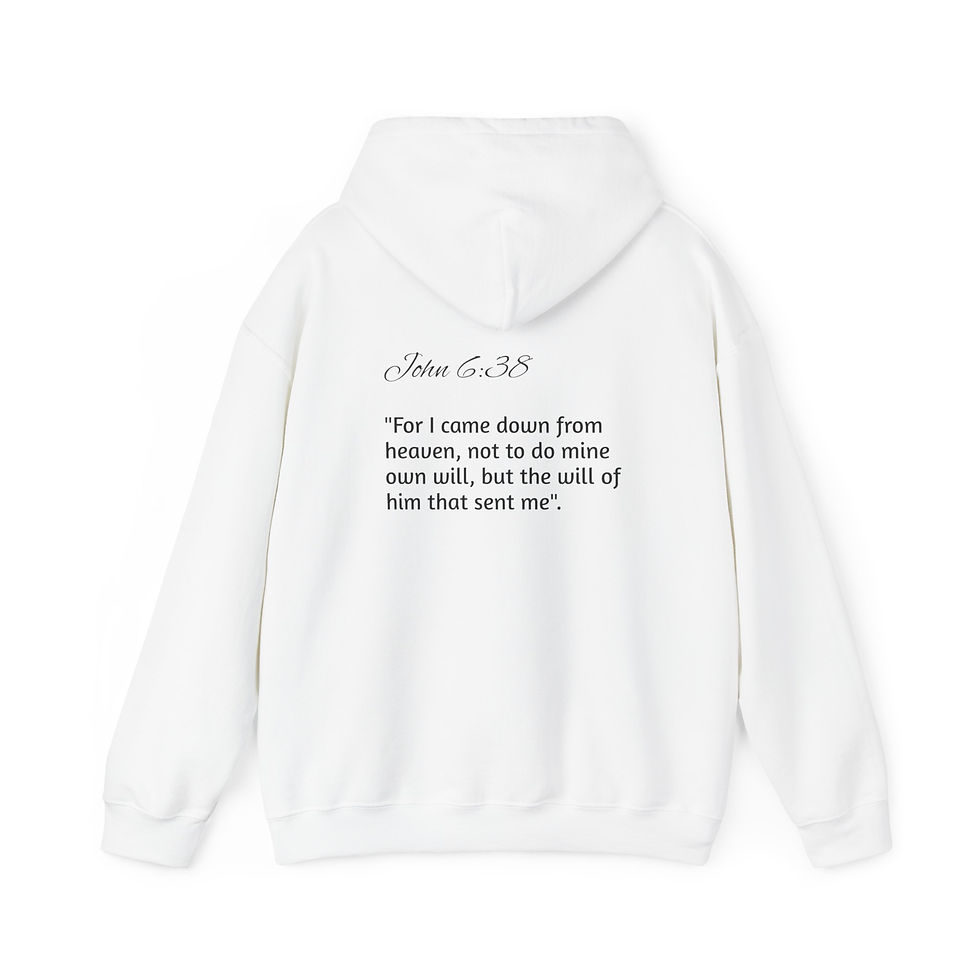 Thumbnail: Sent From Above Hoodie