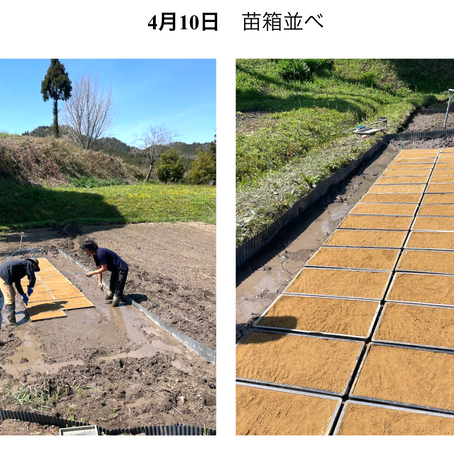 農の便り from 奈良 #３（田んぼ）