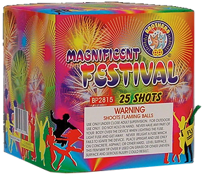 magnificent festival.png