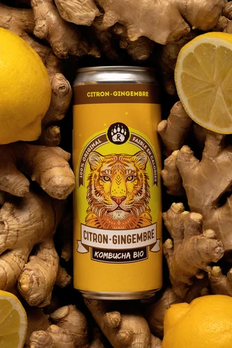 BR LEMON GINGER R-Kombucha ORGANIC - 330ML | Core Green