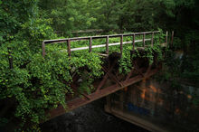Covered Bridge.jpg