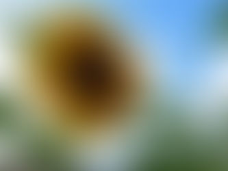 Co-op Newsletter 05/01/24