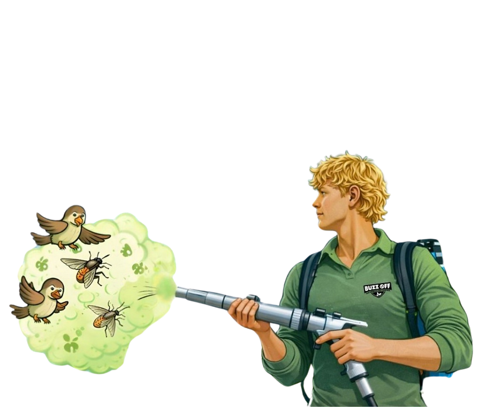 BuzzOff with Kyler (real face) (3).png
