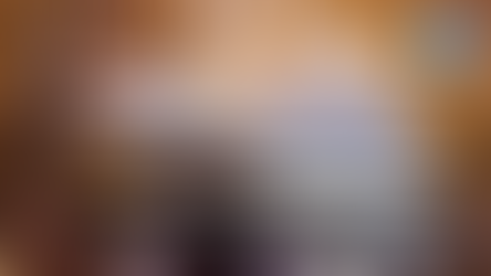 Transparency International School of Integrity