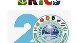 Online Forum for Young Leaders from BRICS and SCOMember-States