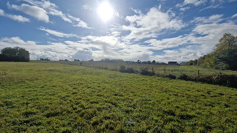 WhatsApp Image 2025-11-03 à 14.49_edited.jpg