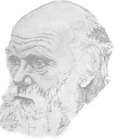 CharlesDarwinBetter_edited_edited_edited