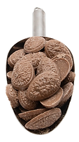 carob.webp