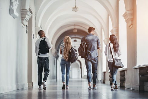Multiracial students are walking in university hall during break and communicating..jpg
