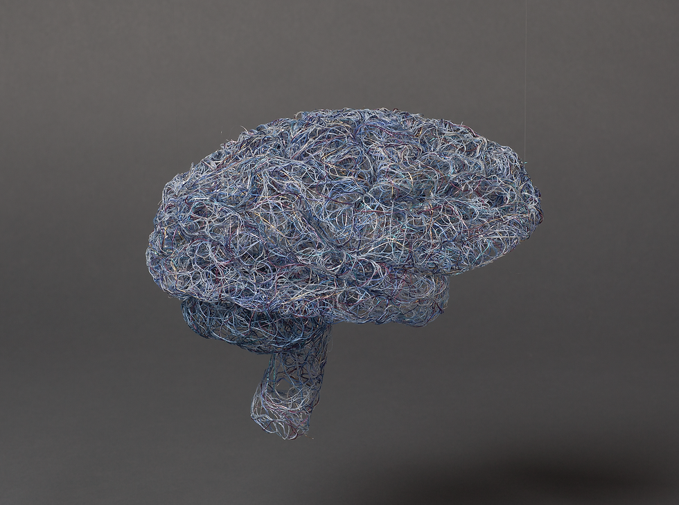 Brain