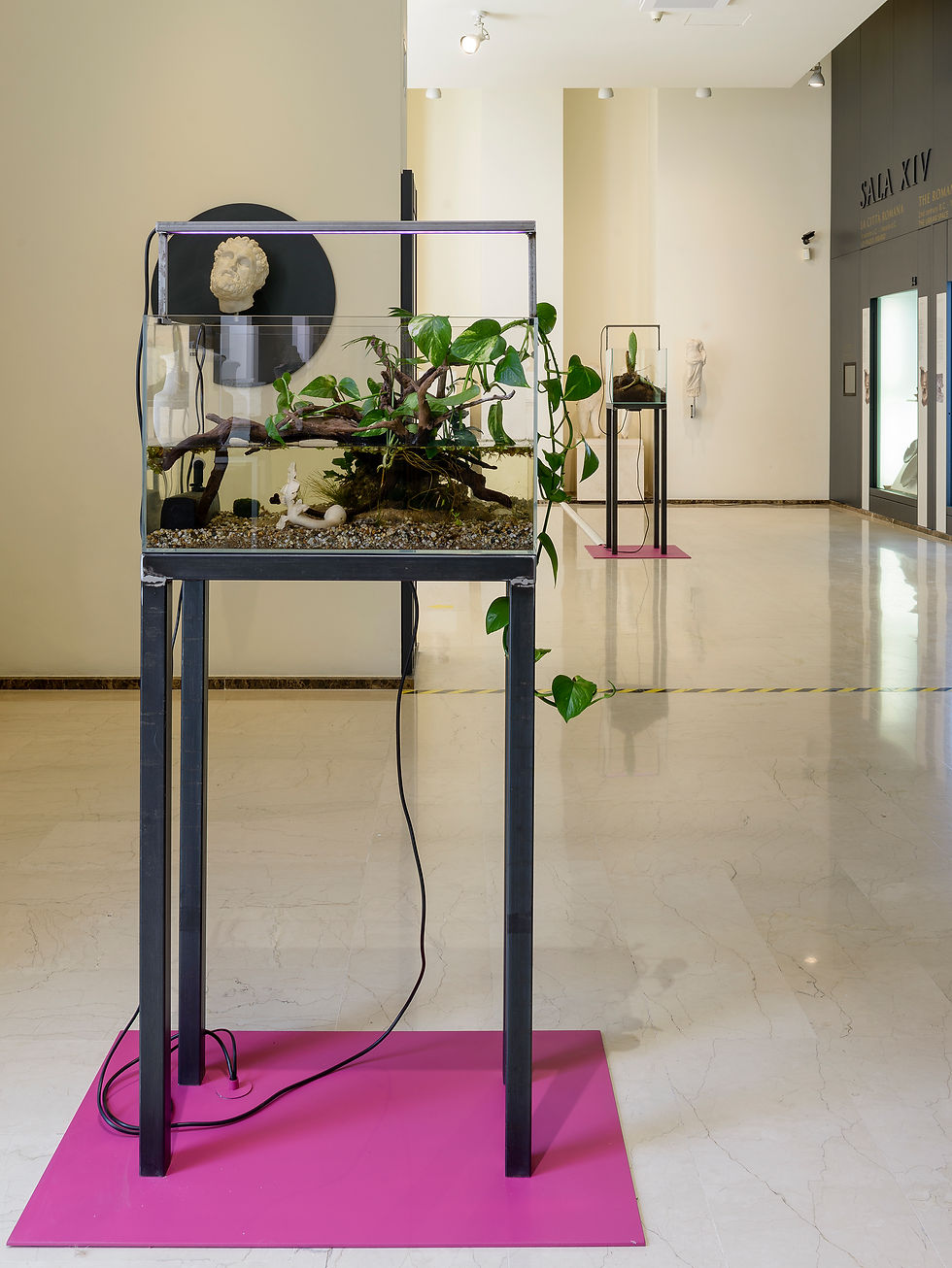 Silent Spring #5, 2021, Installazione ambientale, Il Circuito del Contemporaneo al MarTa, Taranto.