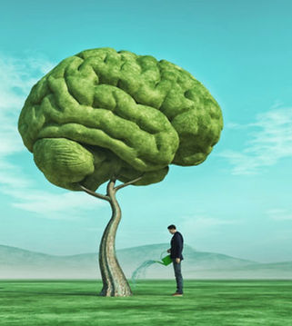 brain tree synergy copy.jpg