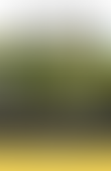 Issue 1, Winter 2025