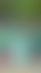 四千人參與全港最大型單日生態遊「華懋行2.0」