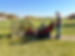 IMG_4809.jpeg
