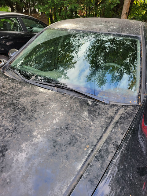 Wash & Wash Honda Accord