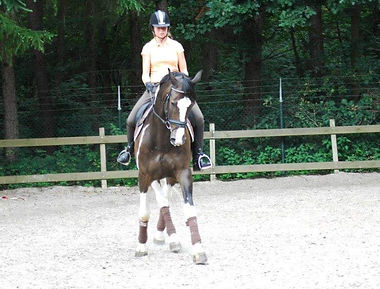 Z-dressuur paard Nashville appuyement