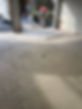 IMG_5647.jpeg