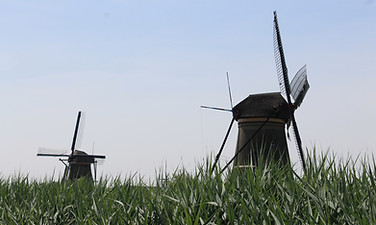 IMG_7452.JPG
