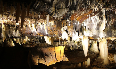 IMG_5866.JPG