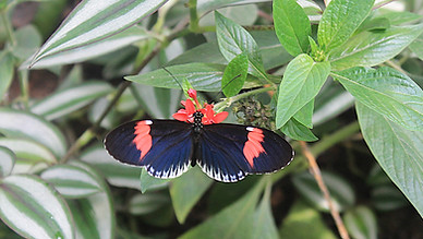 IMG_1783.JPG