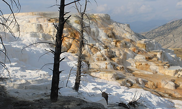 IMG_6175.JPG