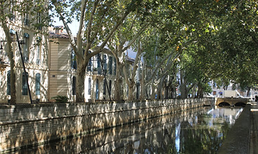 IMG_8231.JPG
